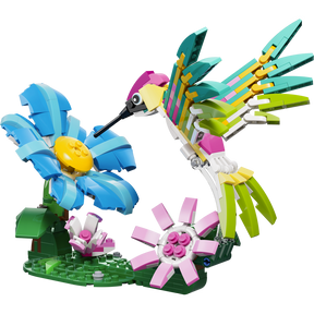Fauna Salvaje: Colibrí de Colores