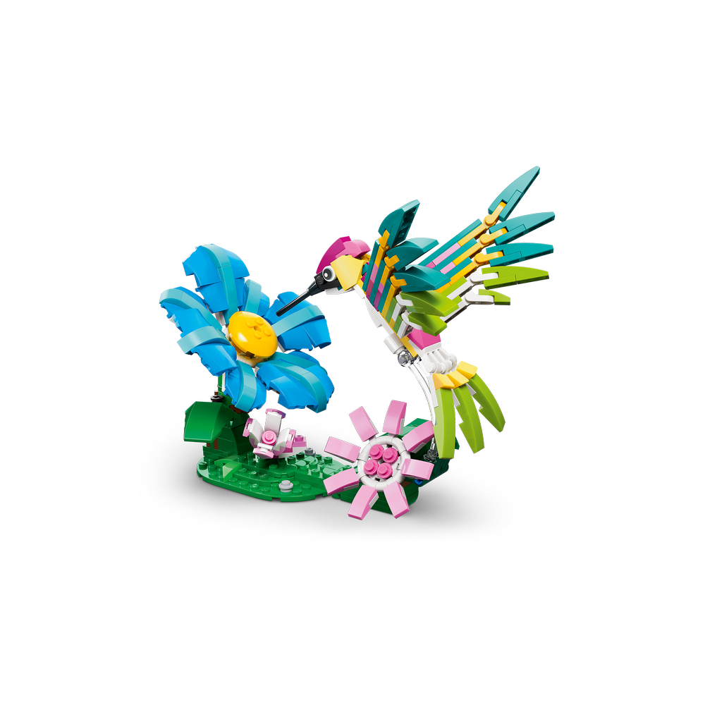 Fauna Salvaje: Colibrí de Colores
