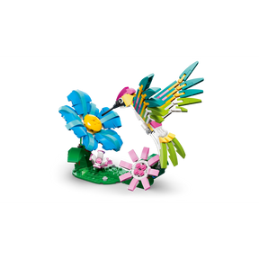 Fauna Salvaje: Colibrí de Colores