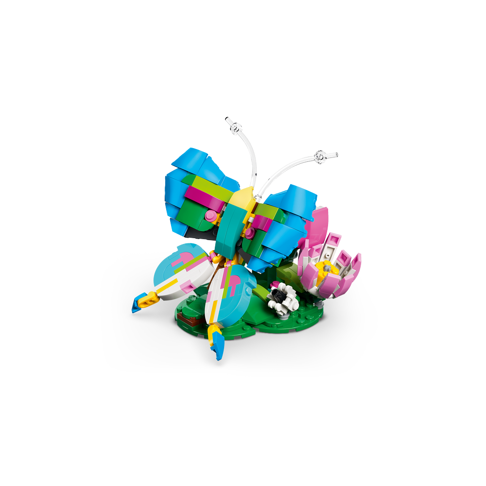 Fauna Salvaje: Colibrí de Colores