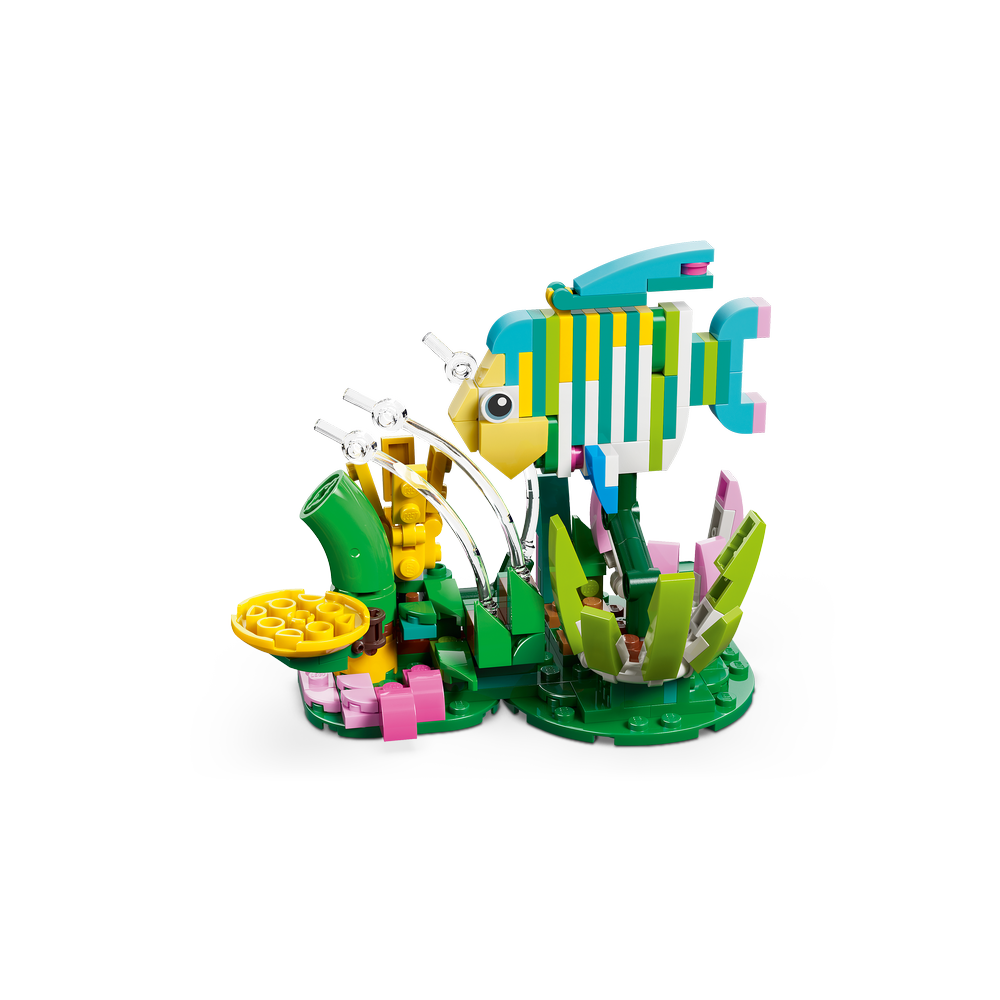 Fauna Salvaje: Colibrí de Colores