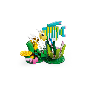 Fauna Salvaje: Colibrí de Colores