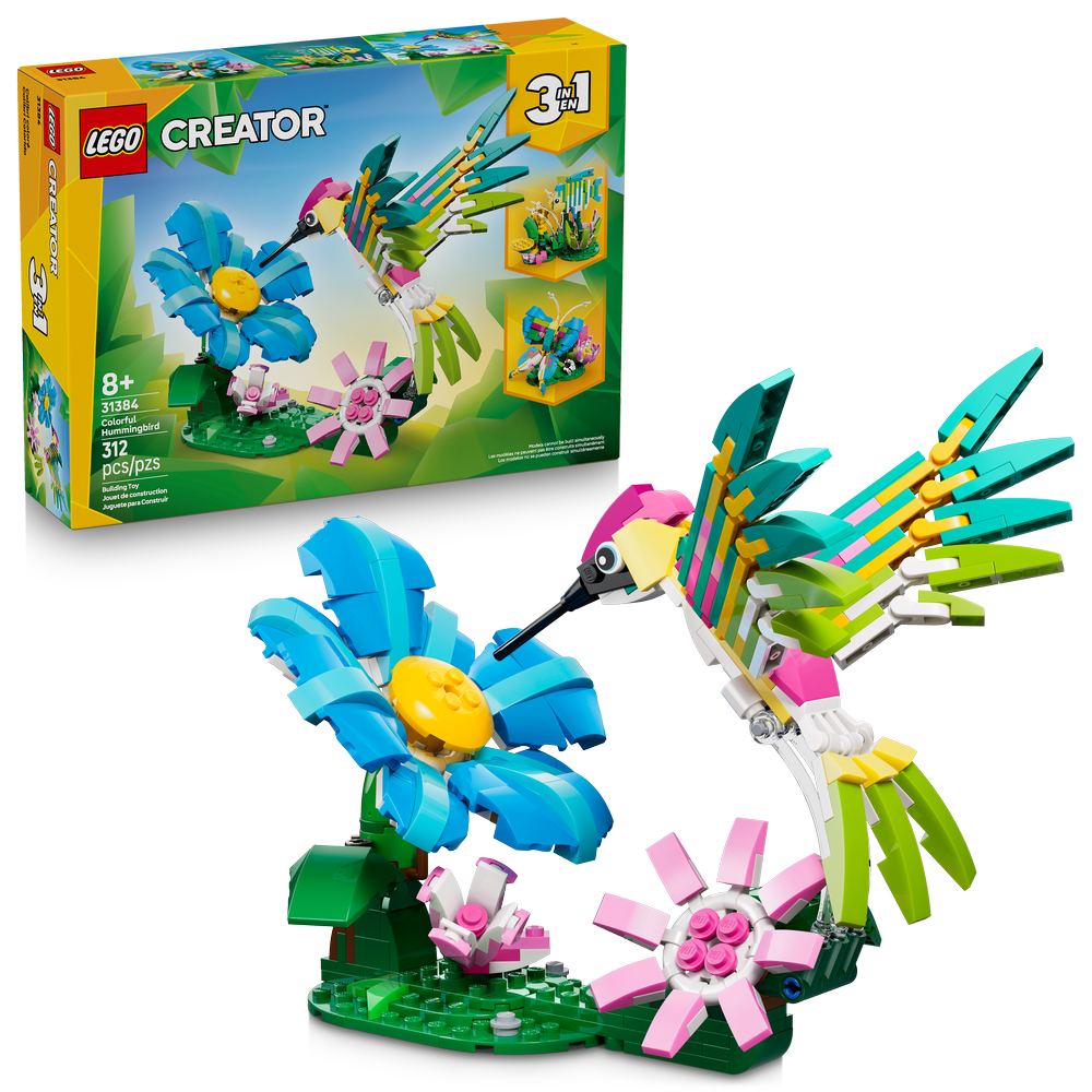 Fauna Salvaje: Colibrí de Colores