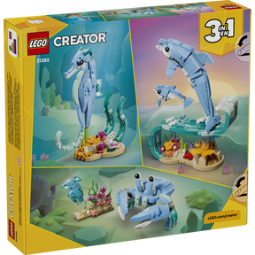 Animales Marinos: Hermosos Delfines