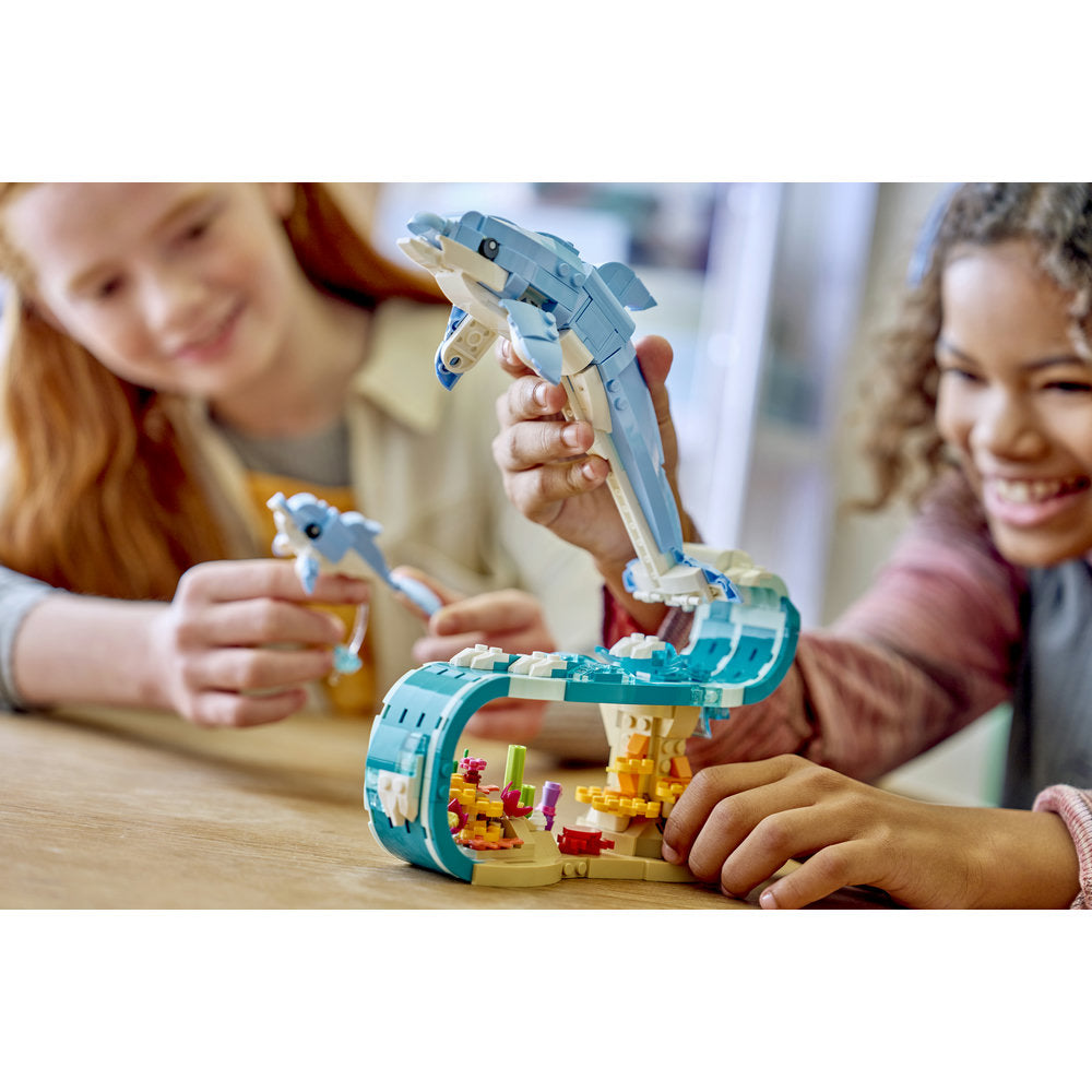 Animales Marinos: Hermosos Delfines