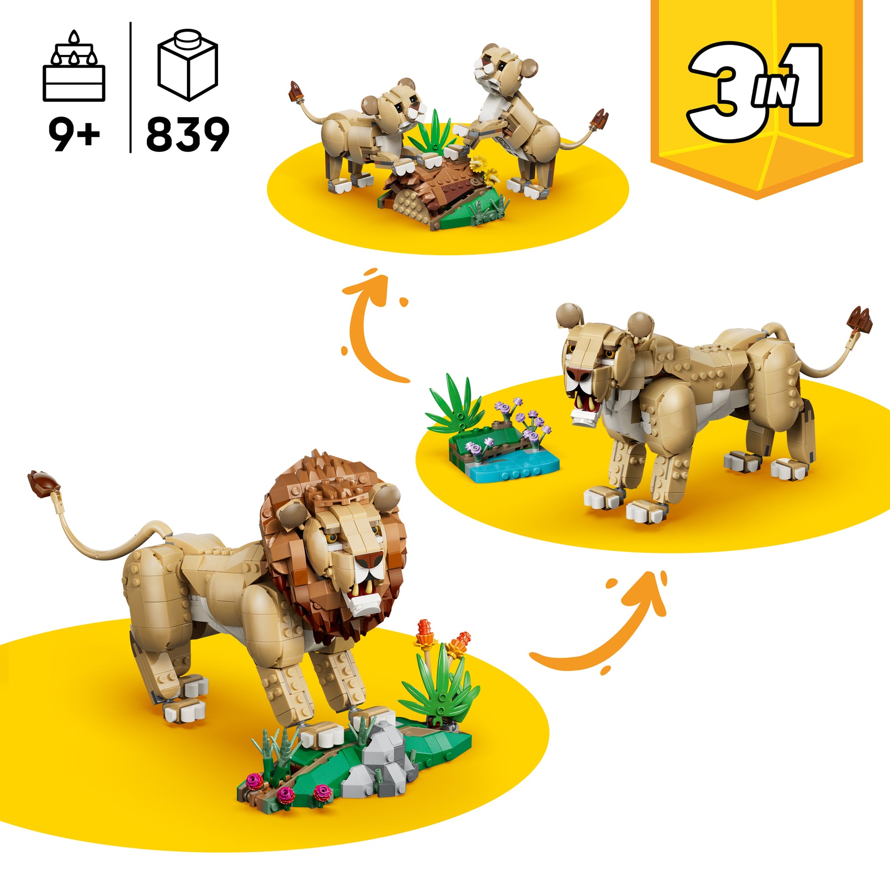 Fauna Salvaje: León Majestuoso