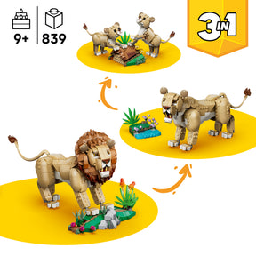 Fauna Salvaje: León Majestuoso