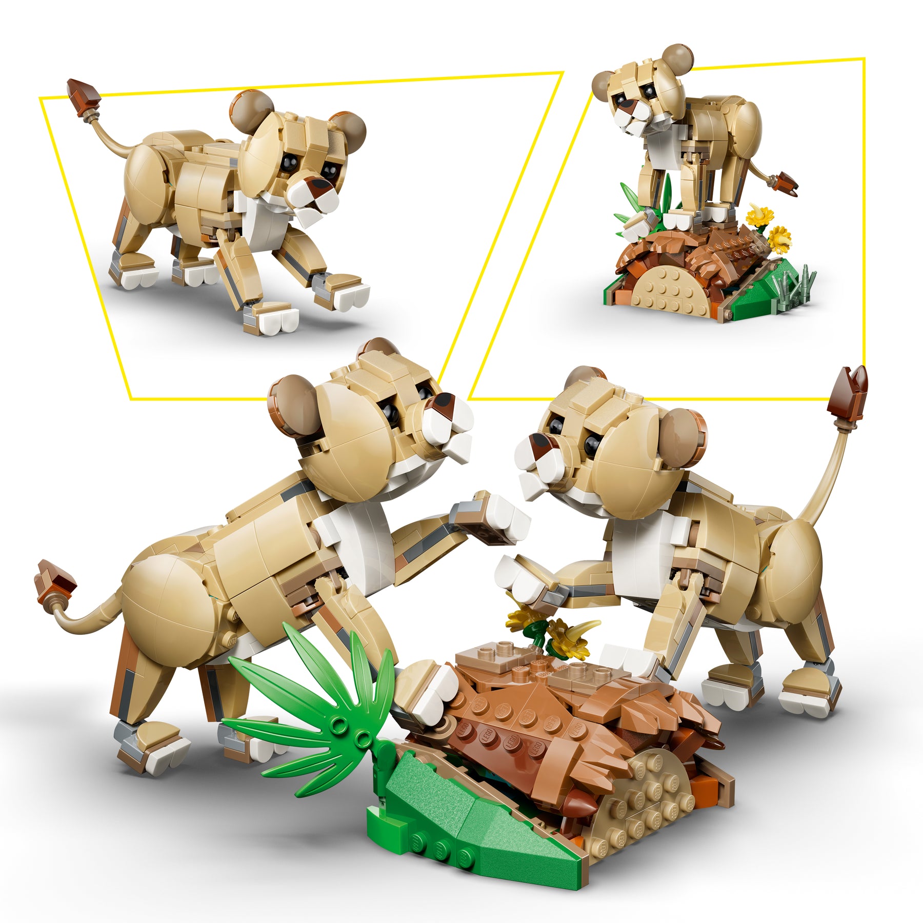 Fauna Salvaje: León Majestuoso