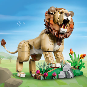 Fauna Salvaje: León Majestuoso