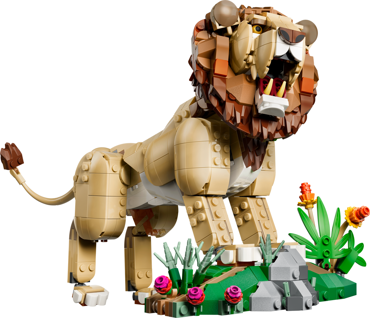 Fauna Salvaje: León Majestuoso