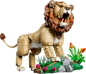 Fauna Salvaje: León Majestuoso