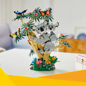 Fauna Salvaje: Familia de Koalas