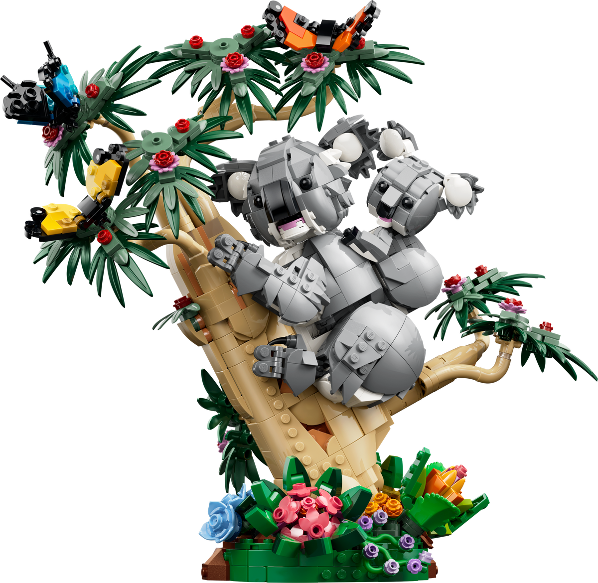 Fauna Salvaje: Familia de Koalas