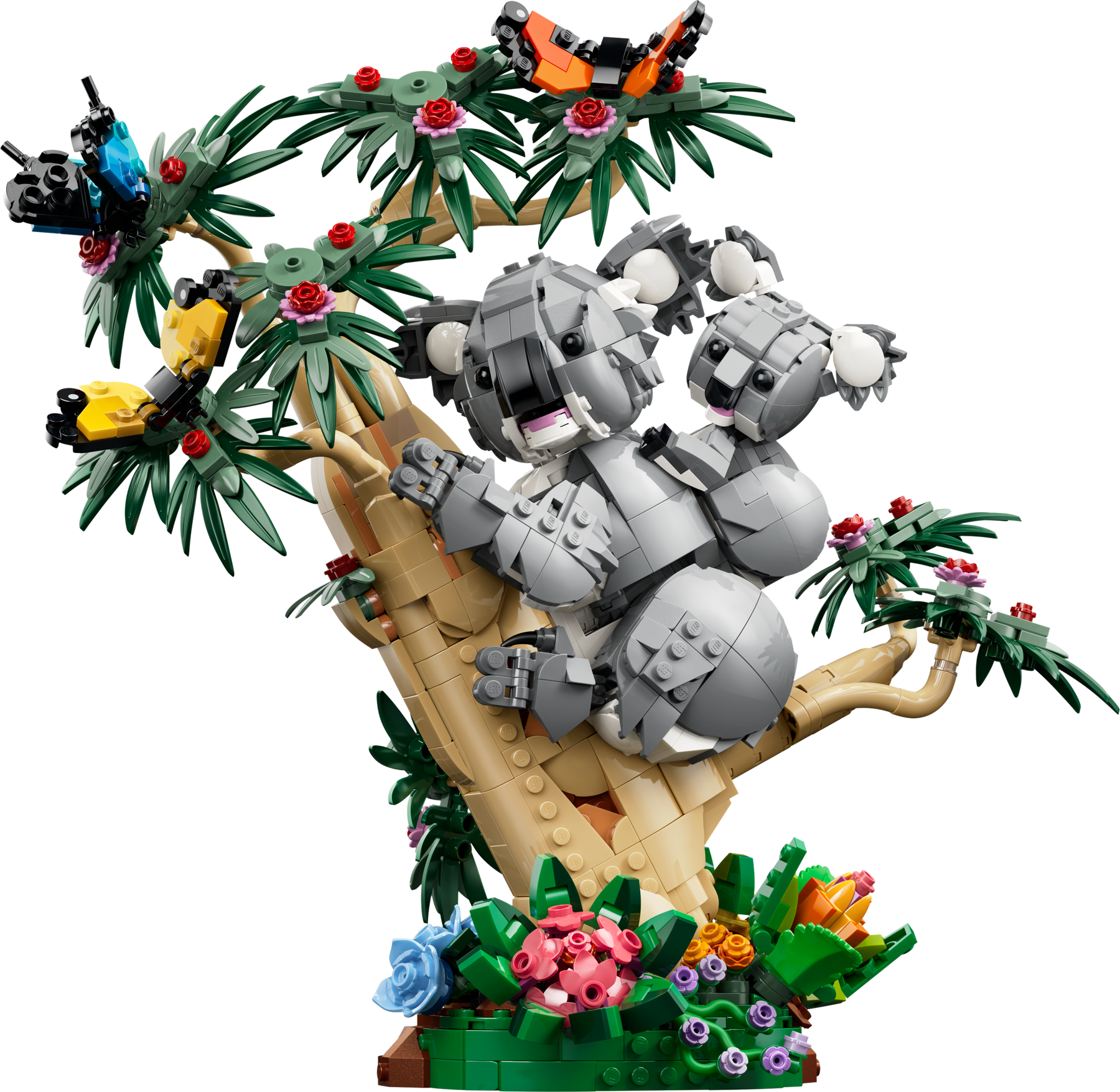 Fauna Salvaje: Familia de Koalas