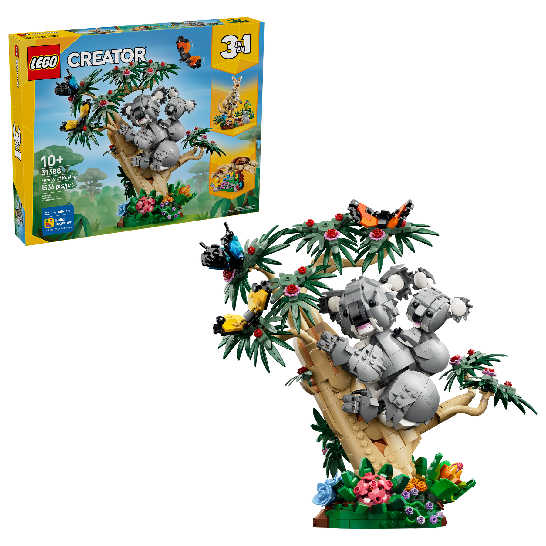 Fauna Salvaje: Familia de Koalas