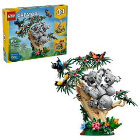 Fauna Salvaje: Familia de Koalas