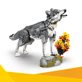 Animales del Bosque: Lobo Gris