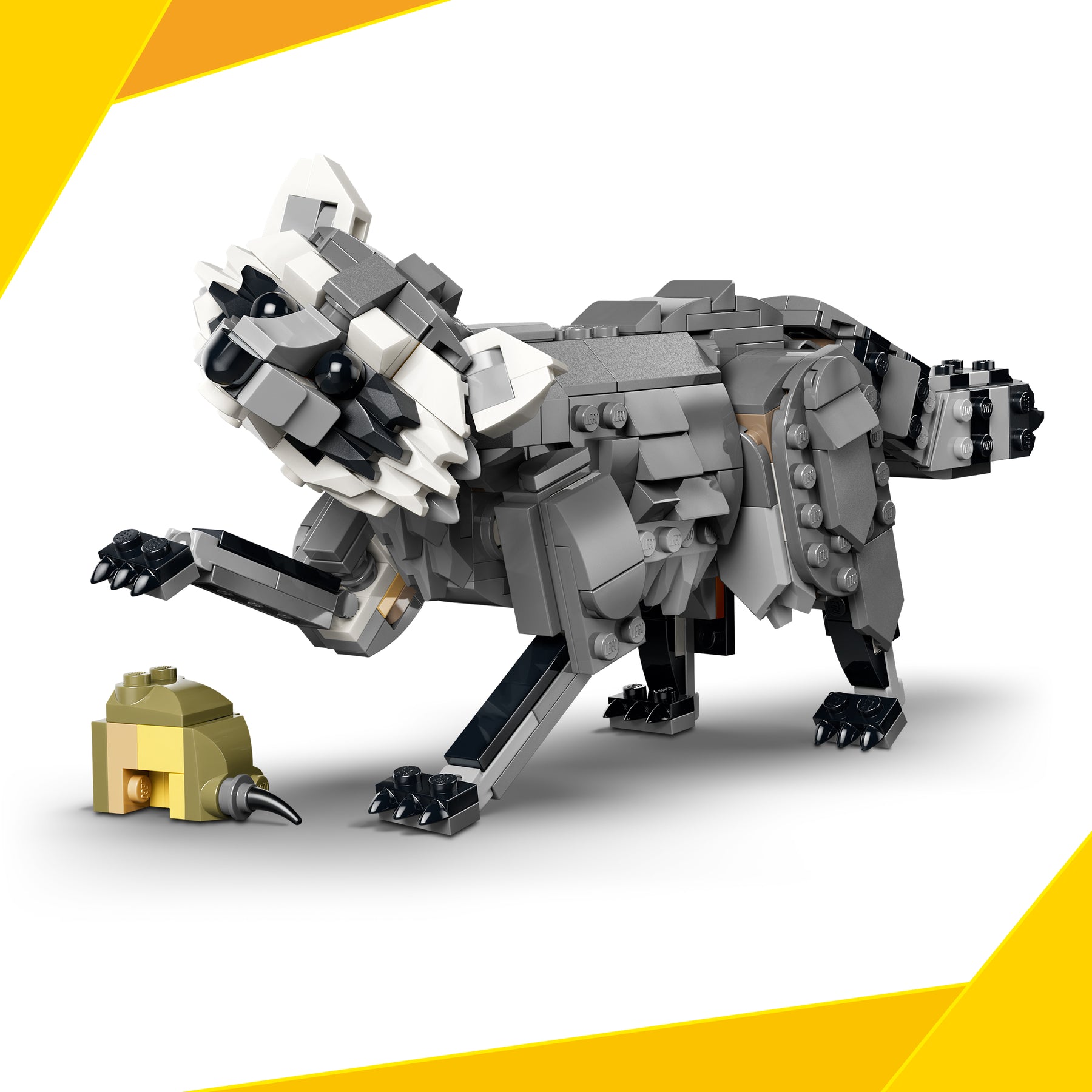 Animales del Bosque: Lobo Gris