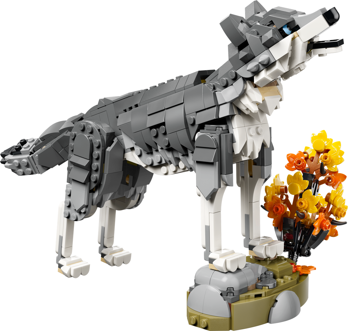 Animales del Bosque: Lobo Gris