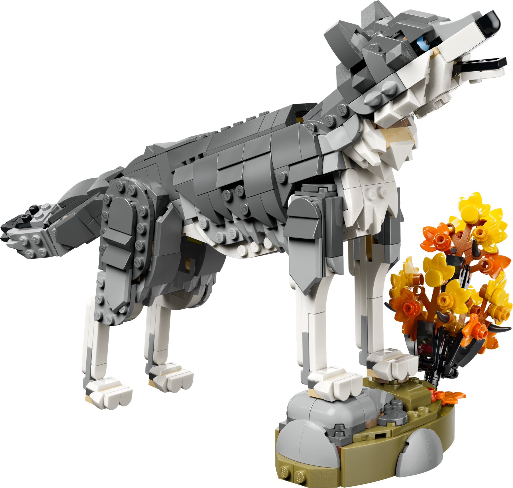 Animales del Bosque: Lobo Gris