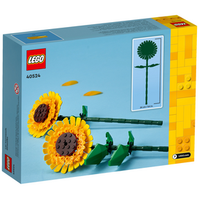 Girasoles