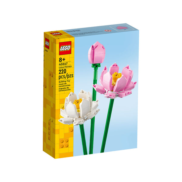 Flores de Loto