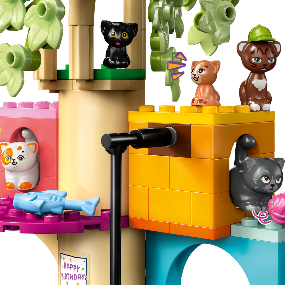 Fiesta de Cumpleaños y Casa del Árbol Felina
