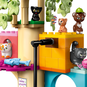 Fiesta de Cumpleaños y Casa del Árbol Felina