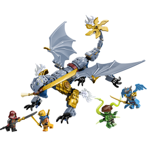 Batalla del Dragón Ninja Riyu