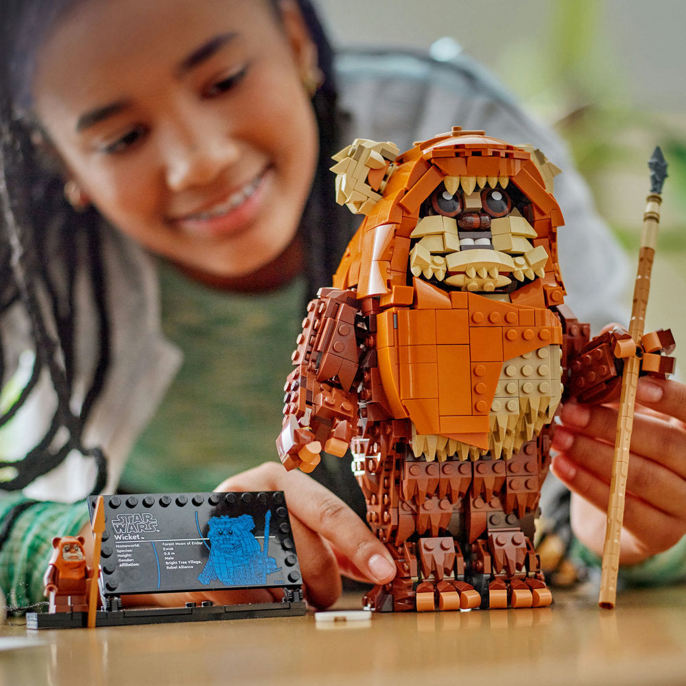 Combo Star Wars: Wicket el Ewok™ (75430) y Droide Astromecánico Chopper (C1-10P)™ (75416)