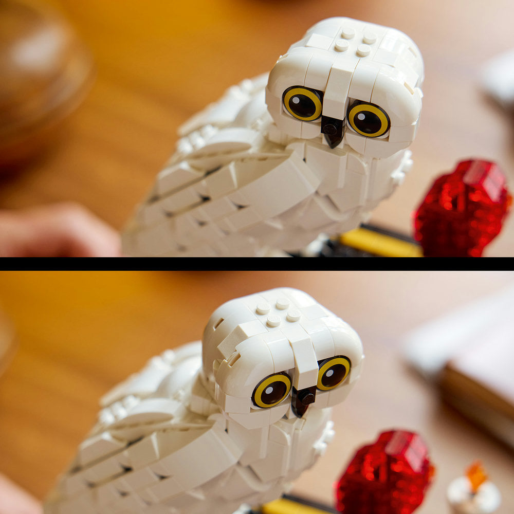 Piedra Filosofal: Edición para Coleccionistas