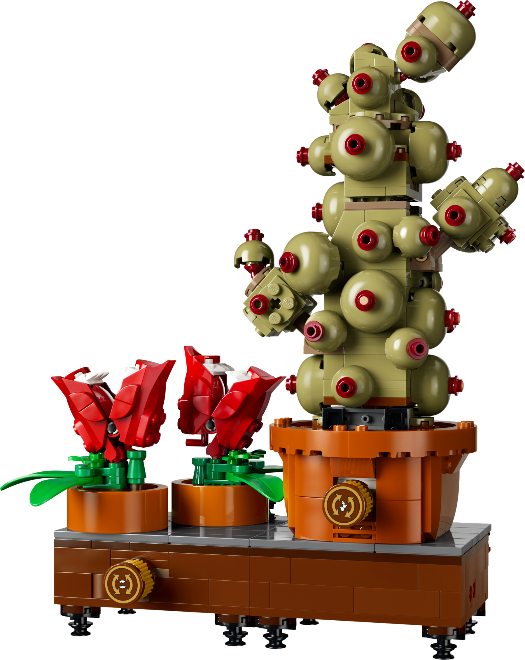 Hogwarts™: Plantas de Herbología