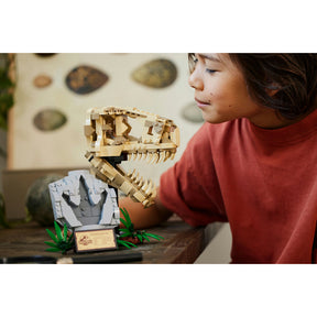 Fósiles de Dinosaurio: Cráneo de T. rex