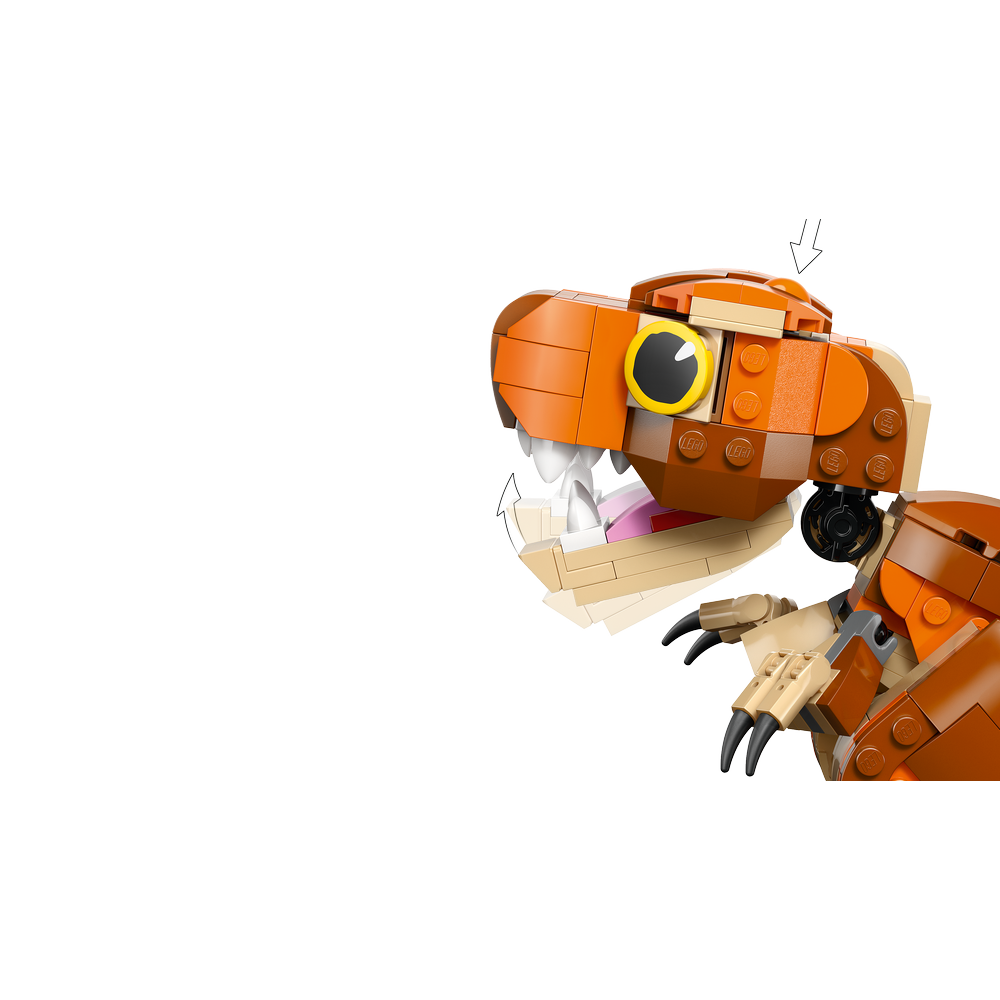 Little Eatie: T. rex