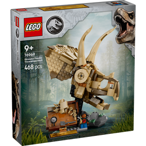 Fósiles de Dinosaurio: Cráneo de Triceratops