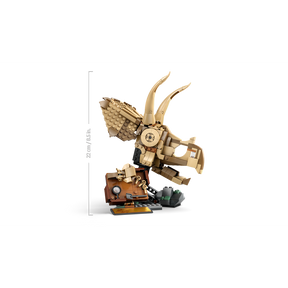 Fósiles de Dinosaurio: Cráneo de Triceratops