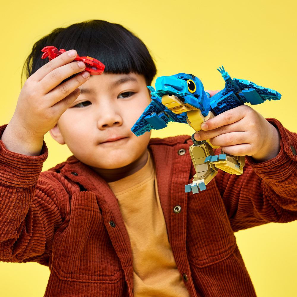 Cría de Dinosaurio: Pteranodon