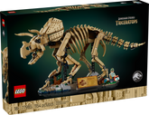 Fósiles de Dinosaurio: Triceratops