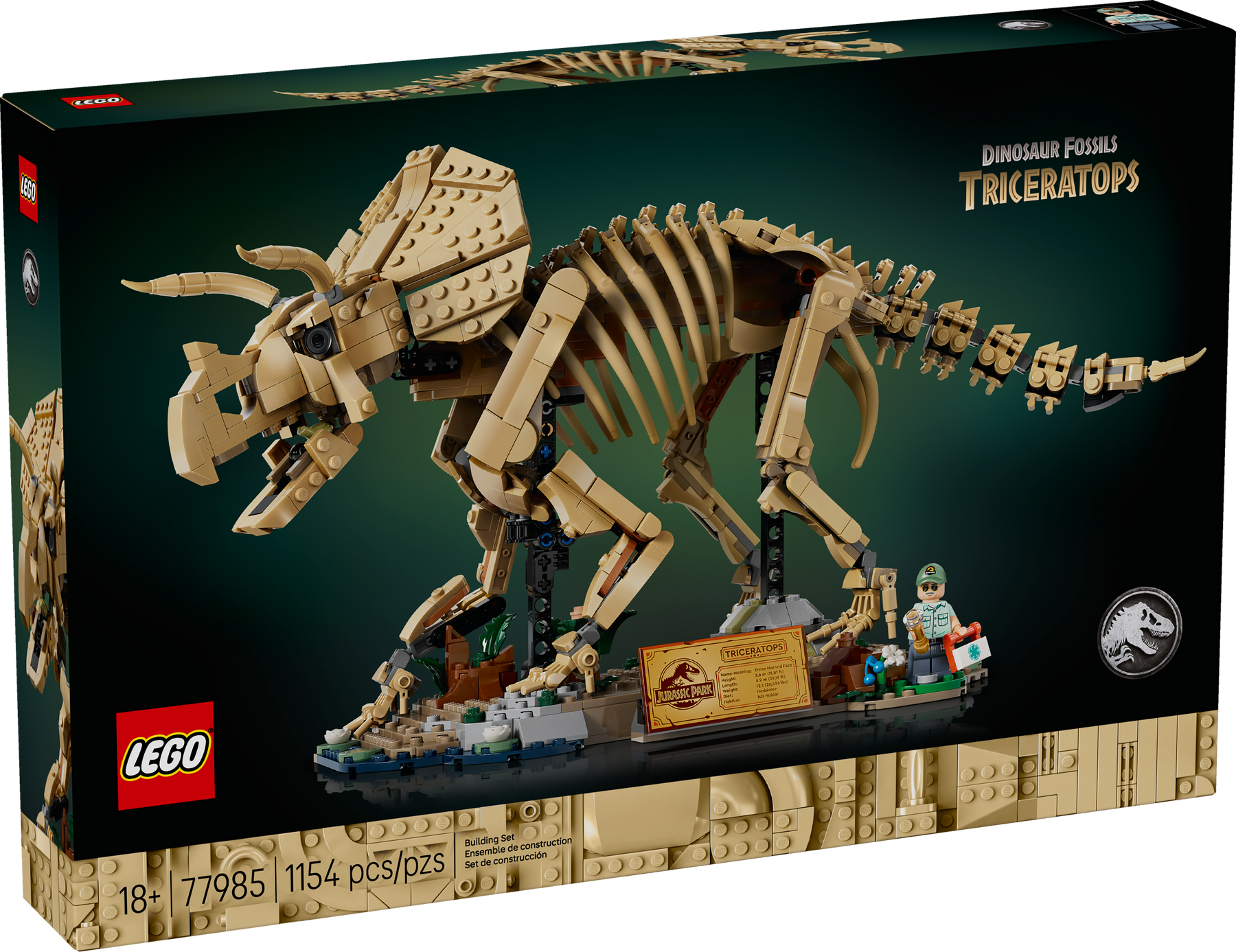 Fósiles de Dinosaurio: Triceratops
