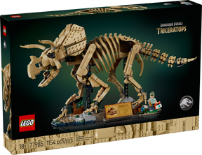 Fósiles de Dinosaurio: Triceratops