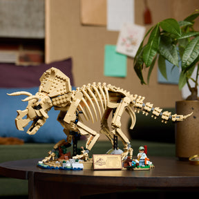 Fósiles de Dinosaurio: Triceratops
