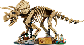 Fósiles de Dinosaurio: Triceratops