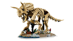 Fósiles de Dinosaurio: Triceratops