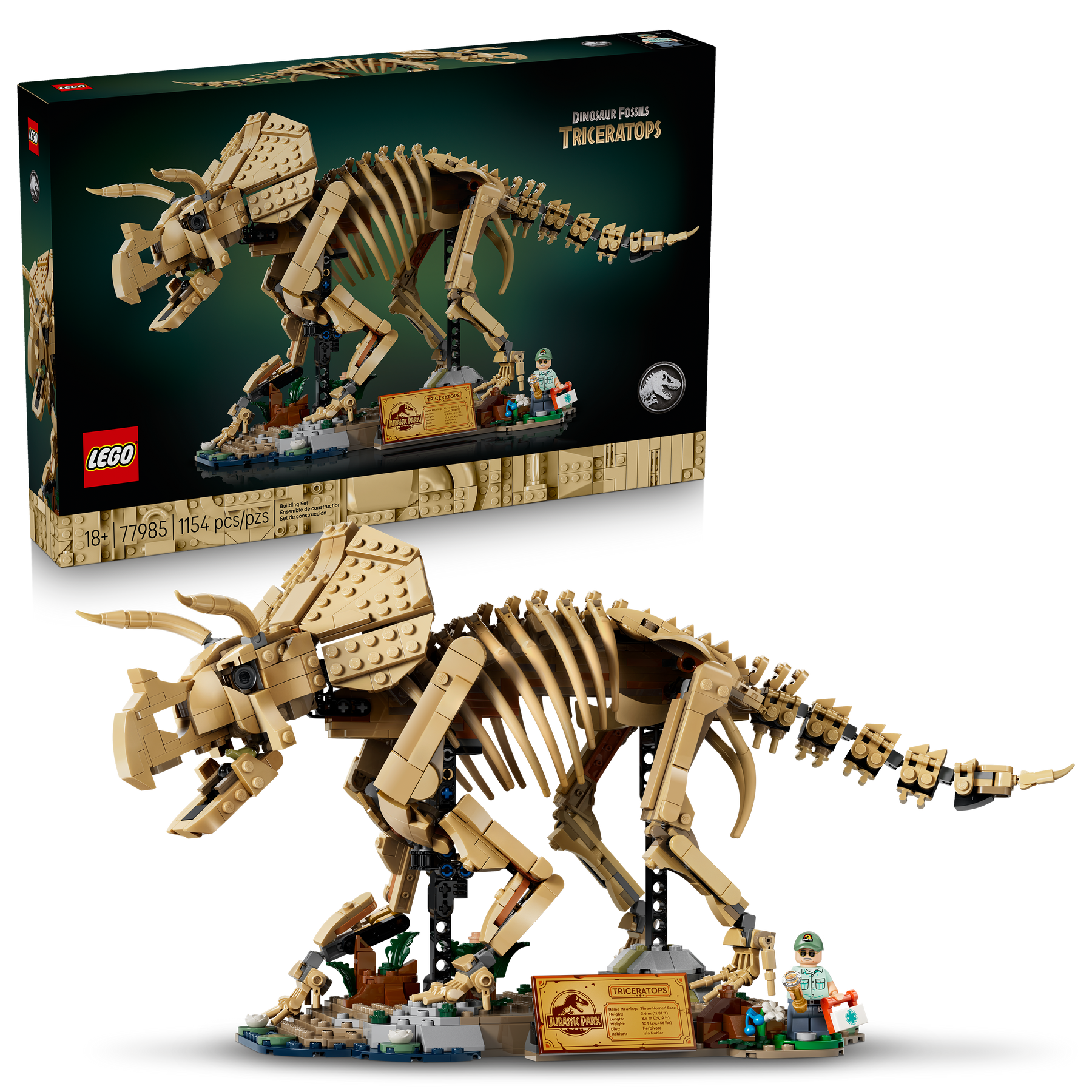 Fósiles de Dinosaurio: Triceratops