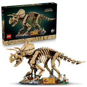 Fósiles de Dinosaurio: Triceratops