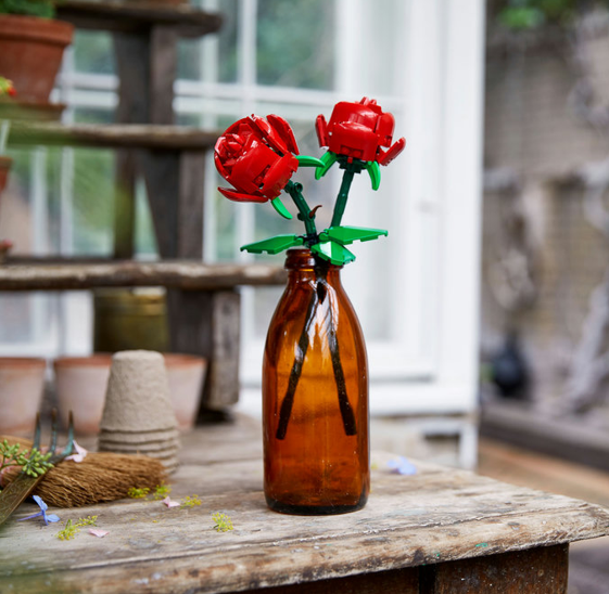 Rosas