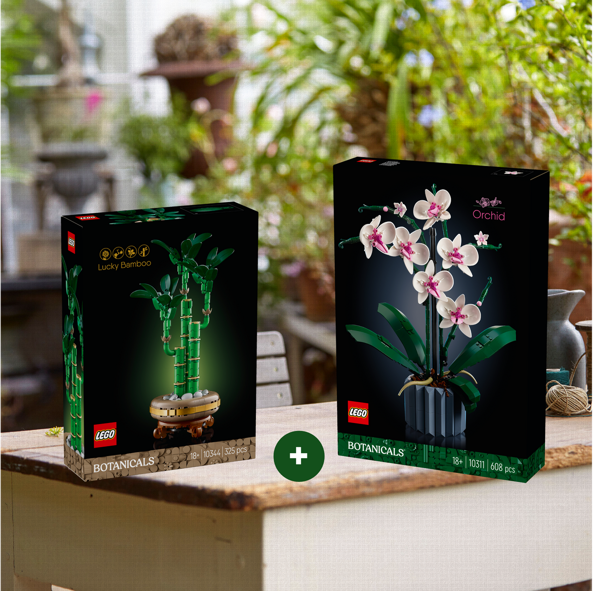 Combo Elegancia Botánica: Bambú de la Suerte (10344) y Orquídeas (10311)