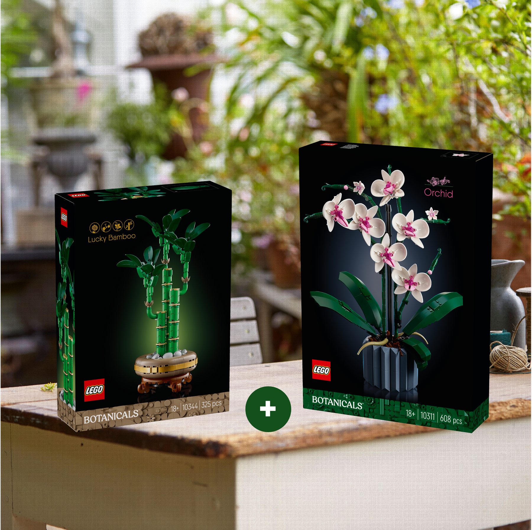 Combo Elegancia Botánica: Bambú de la Suerte (10344) y Orquídeas (10311)