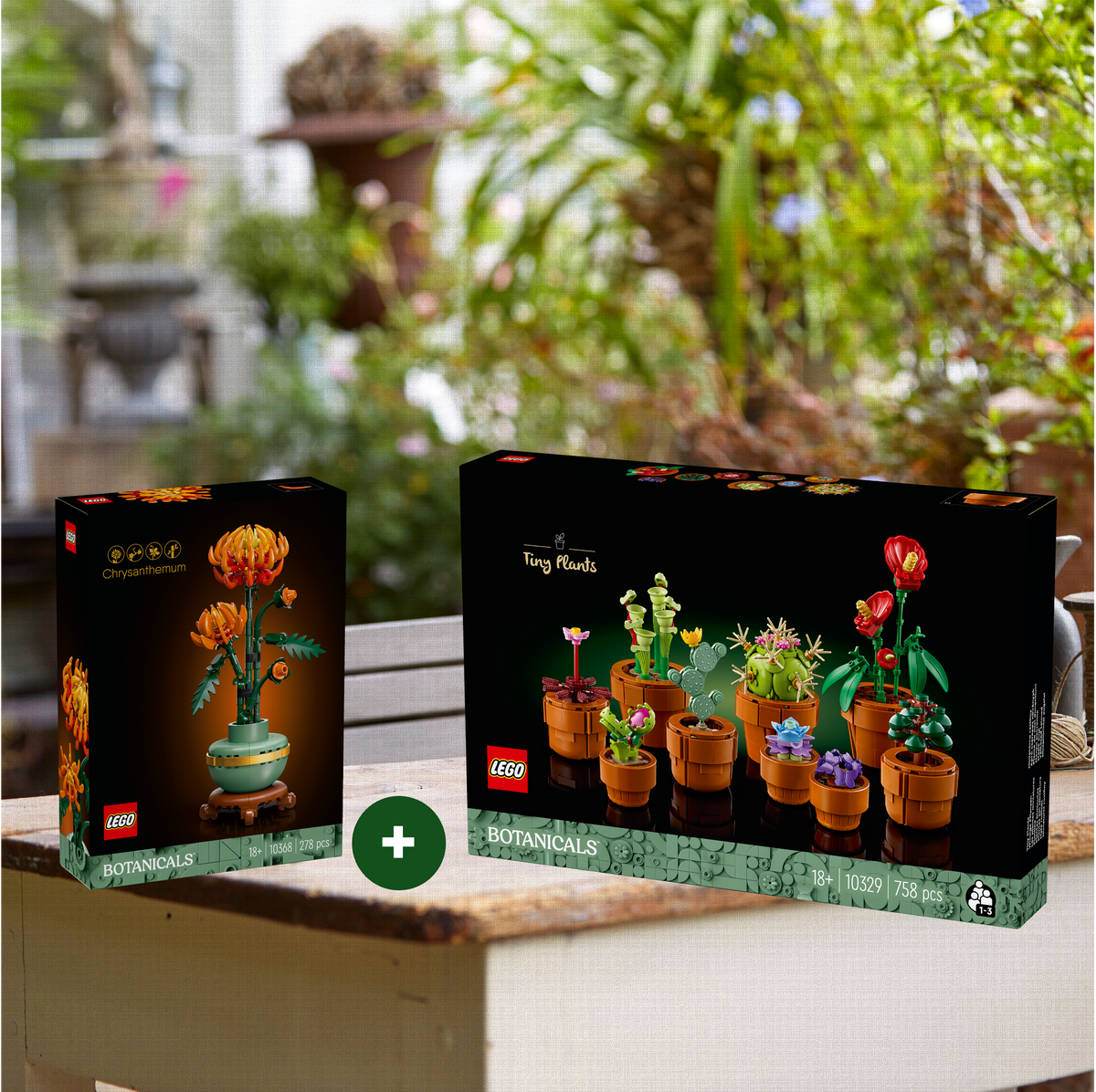 Combo Alegría Botánica: Crisantemo (10368) y Plantas Diminutas (10329)