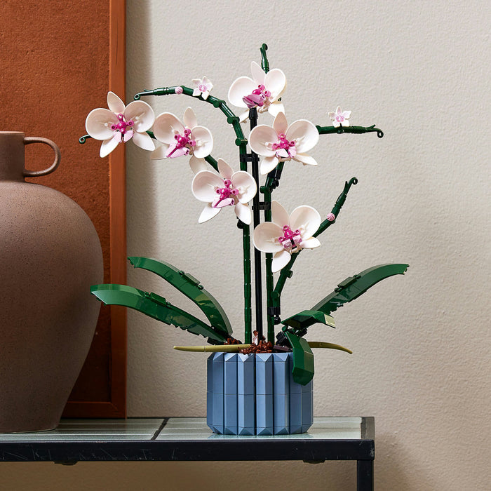 Orquídea